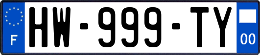 HW-999-TY