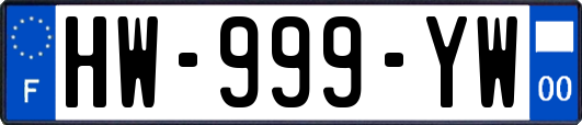 HW-999-YW