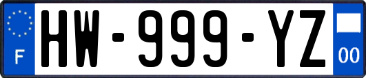 HW-999-YZ