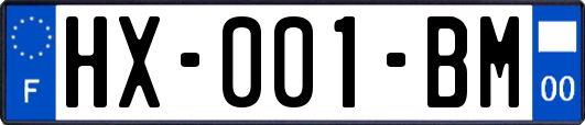 HX-001-BM