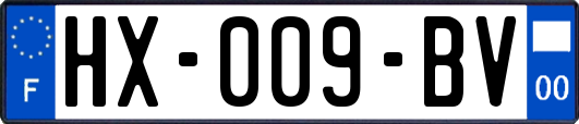 HX-009-BV