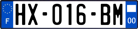 HX-016-BM