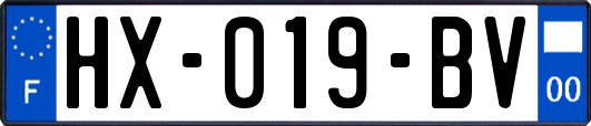 HX-019-BV
