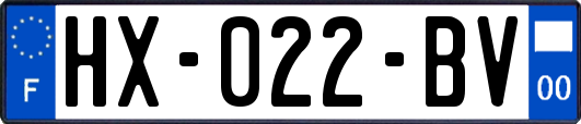 HX-022-BV
