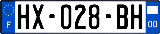 HX-028-BH
