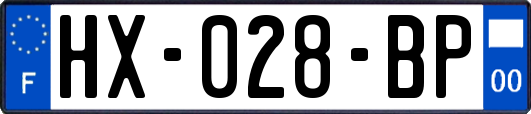 HX-028-BP
