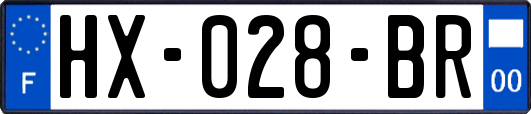 HX-028-BR