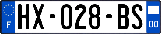 HX-028-BS