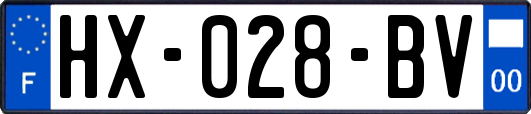 HX-028-BV