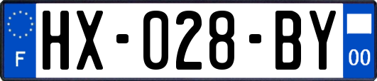 HX-028-BY