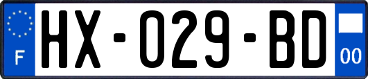 HX-029-BD