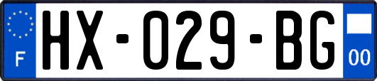 HX-029-BG