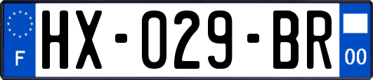 HX-029-BR