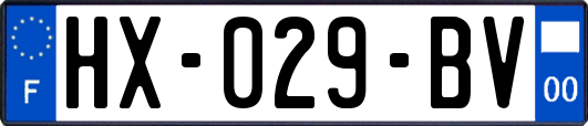 HX-029-BV