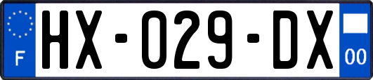 HX-029-DX
