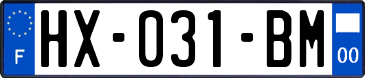 HX-031-BM