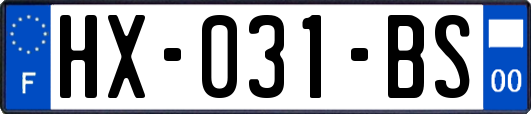 HX-031-BS