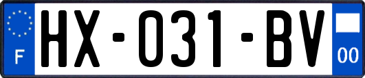 HX-031-BV