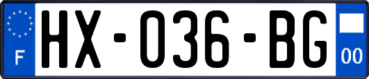 HX-036-BG