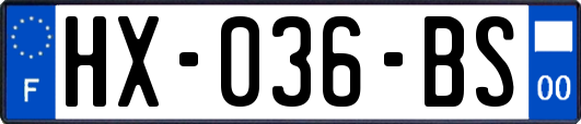 HX-036-BS