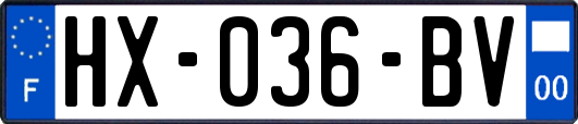 HX-036-BV