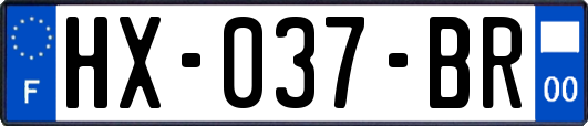 HX-037-BR