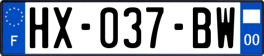 HX-037-BW