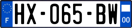 HX-065-BW