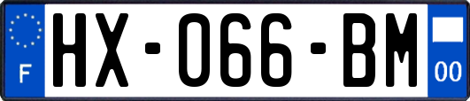 HX-066-BM