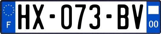 HX-073-BV