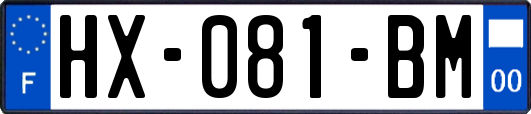 HX-081-BM