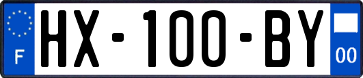 HX-100-BY