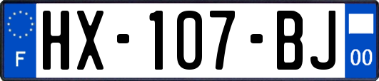 HX-107-BJ
