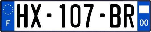 HX-107-BR