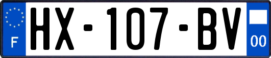 HX-107-BV