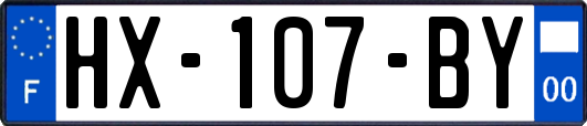 HX-107-BY