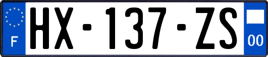 HX-137-ZS
