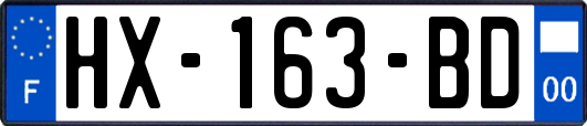 HX-163-BD