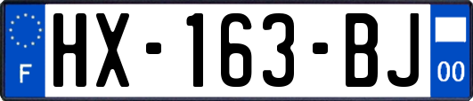 HX-163-BJ