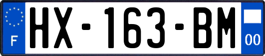HX-163-BM