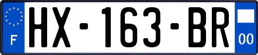 HX-163-BR