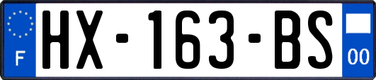 HX-163-BS