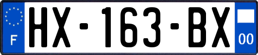HX-163-BX