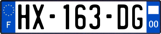 HX-163-DG