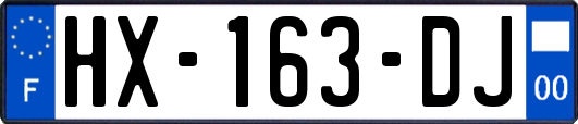 HX-163-DJ