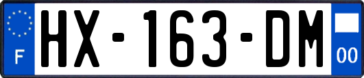 HX-163-DM