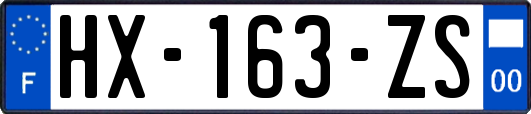 HX-163-ZS