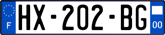 HX-202-BG