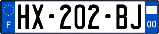 HX-202-BJ
