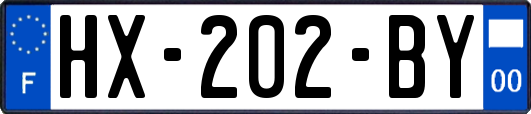 HX-202-BY